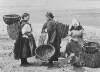 [Three female cockle-pickers with baskets, at the coast]