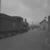 197 train and J.O'Meara, Borris, Co. Carlow.