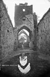 Abbey Ruins, Carlingford, Co. Louth