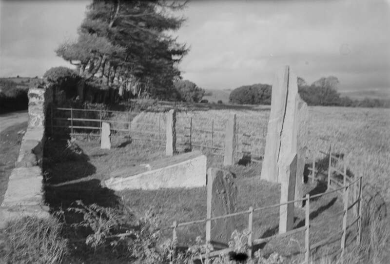 The 7 Ogham Stones at Dunloe.
