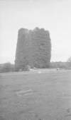 Ballycuddihy Castle.