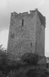 Lisfinny Castle.